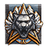 comp7_5_2_champion